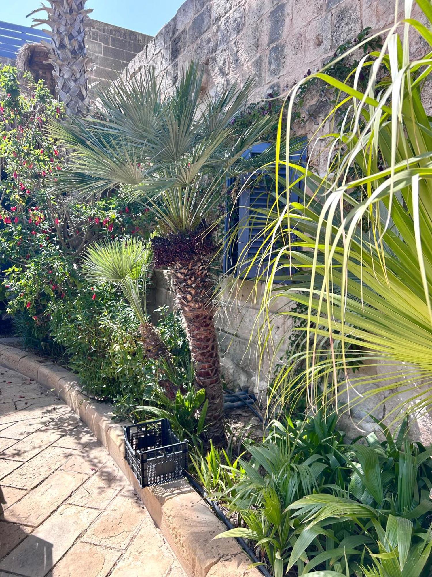 Ta Skorba Farmhouse Mgarr L-Imgarr Exterior photo