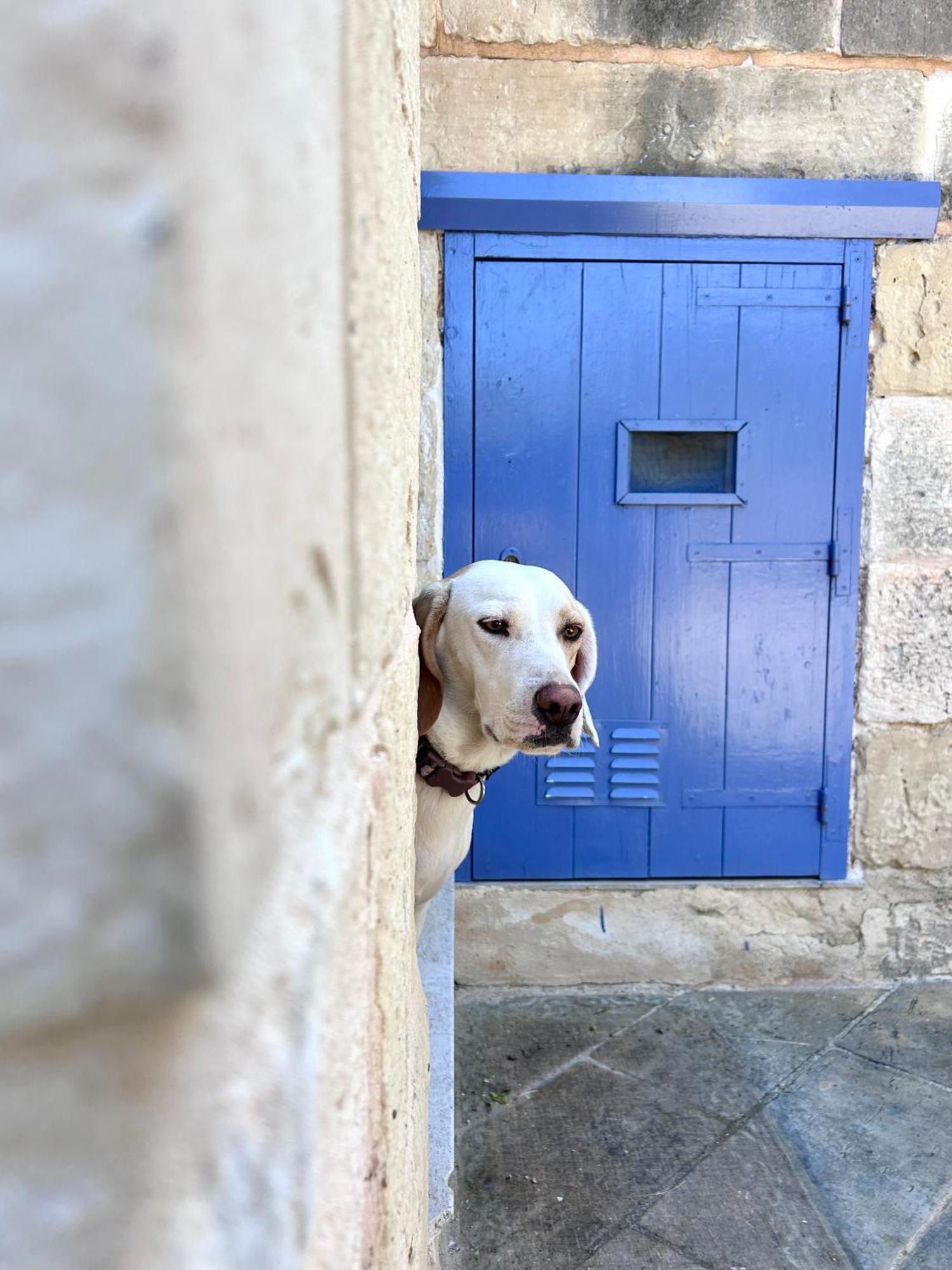 Ta Skorba Farmhouse Mgarr L-Imgarr Exterior photo